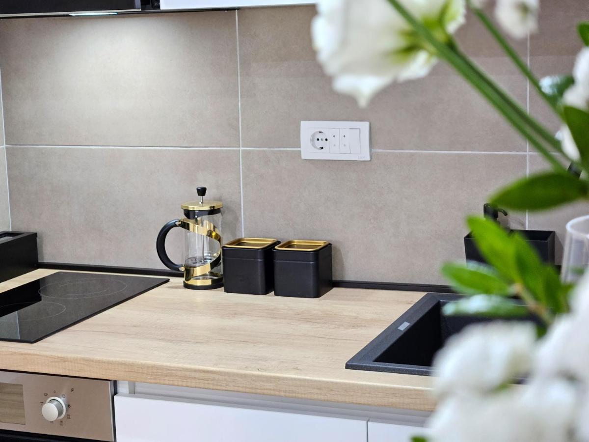 Roman Apartman Sremska Mitrovica Bagian luar foto