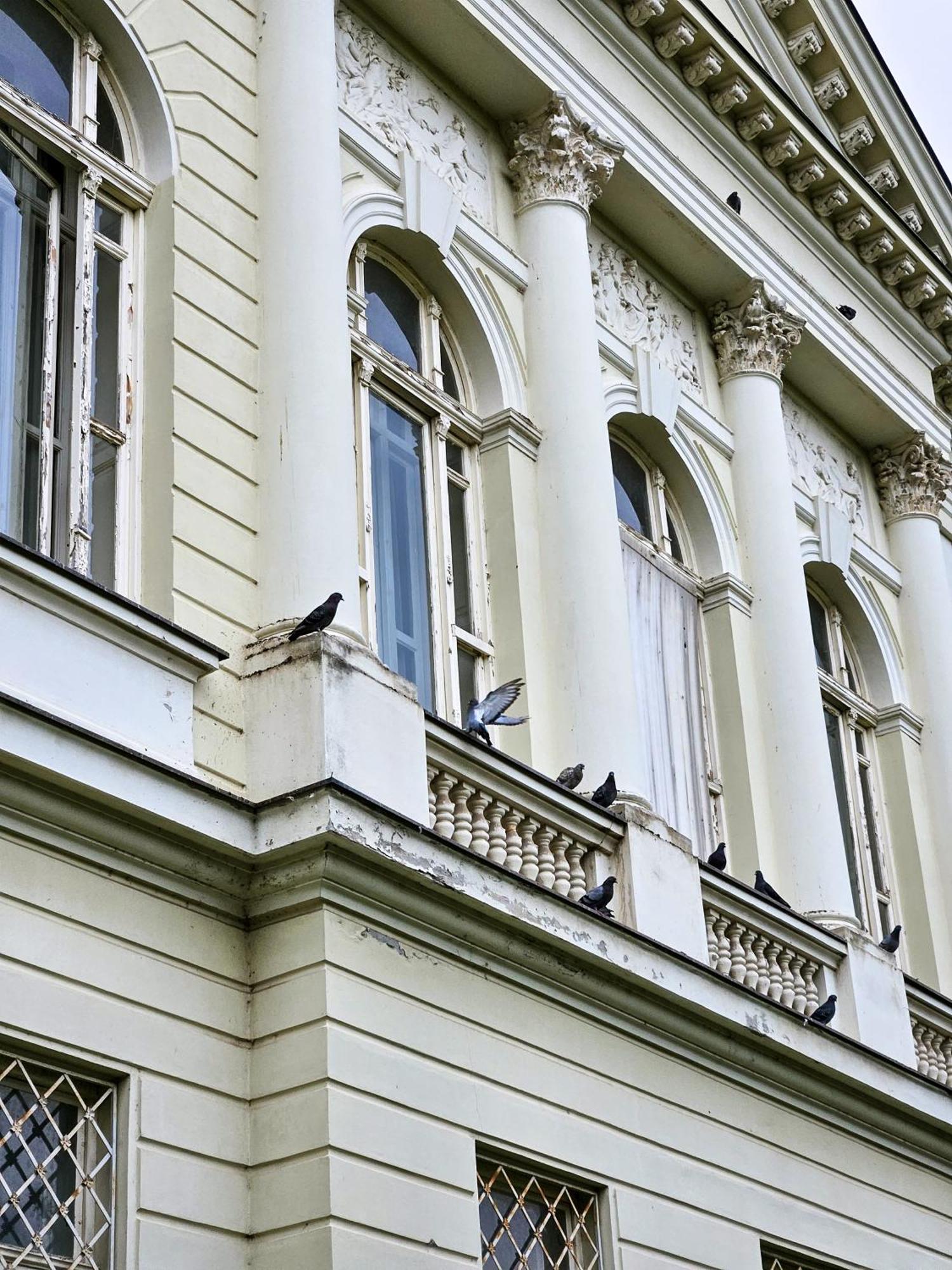 Roman Apartman Sremska Mitrovica Bagian luar foto
